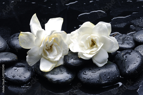 Tapeta ścienna na wymiar Spa still life with gardenia flower on pebble