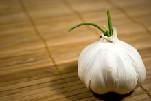 Sprouting Garlic