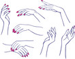 Womans hands