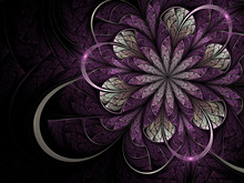 Bright Violet Fractal Flower On Dark Background