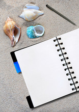 Open Notepad With Pen And Shell On The Sand Background