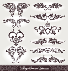 Vector set of calligraphic design elements