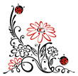 Ranke, flora, Blumen, Blüten, Marienkäfer, rot, schwarz