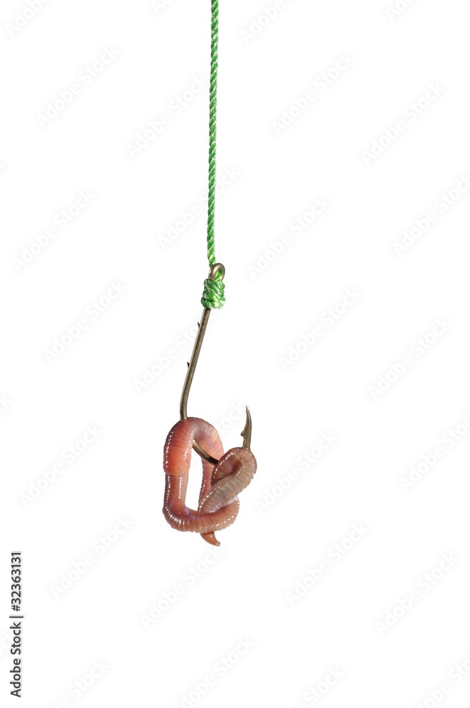 earthworm on hook Stock Photo | Adobe Stock