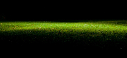 green lawn at night