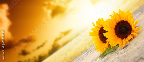 summer time Fototapete