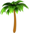 Palm tree stylized tropical nature design element 3d render