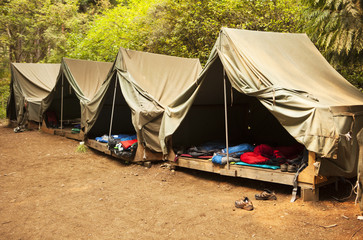 roughing it at summer camp