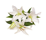 Bouquet from lilies, a flower