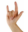 I love you on sign language