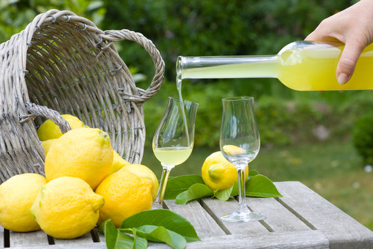 limoncello and lemons