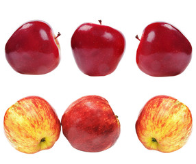 Wall Mural - fresh red apples