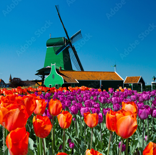 Obraz w ramie windmill in holland