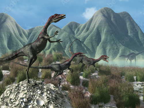 Obraz w ramie Prehistoric Scene with Compsognathus Dinosaurs