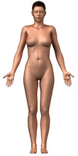 Naked Woman Isolated Frontal View