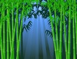 bamboo tree background