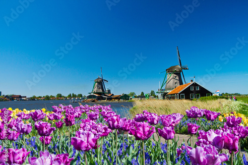 Naklejka na szybę windmill in holland