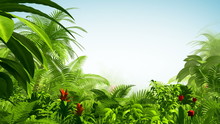 Growing Tropical Forest
