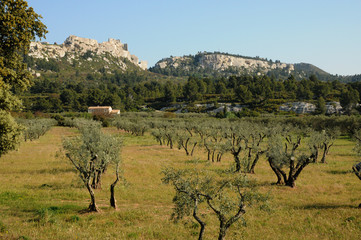 Wall Mural - le château des Baux-de-Provence