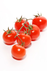 Wall Mural - fresh tomatoes