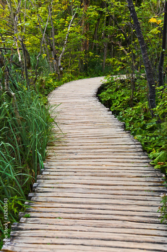 Fototapeta na wymiar Pathway in Plitvice lakes park at Croatia