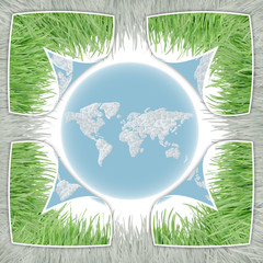 frame made of real grass