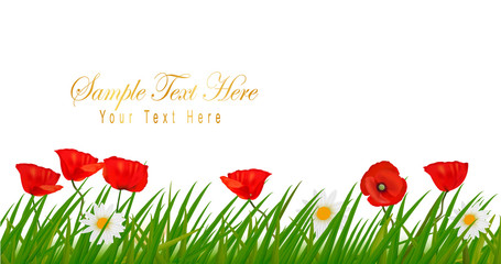 Poster - Background with beautiful red poppies and plant. Vectoк