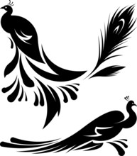 Beautiful Peacocks Vector Illustration