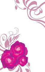 Wall Mural - Floral card with purple roses