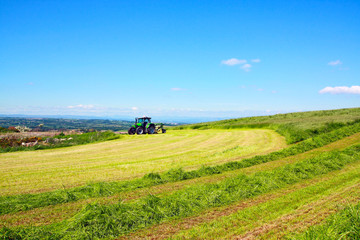 Poster - Haymaking in Scotland