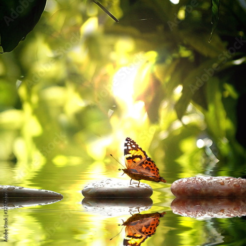 Fototapeta dla dzieci Natur