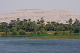 Fototapeta Sawanna - A Nile river bank, Egypt