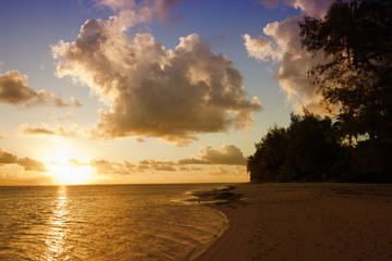 Sunset on Beach of a Tropical Island