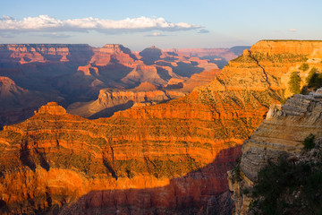 Wall Mural - Grand Canyon at sunset