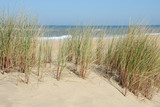 Fototapeta  - dune et océan 2