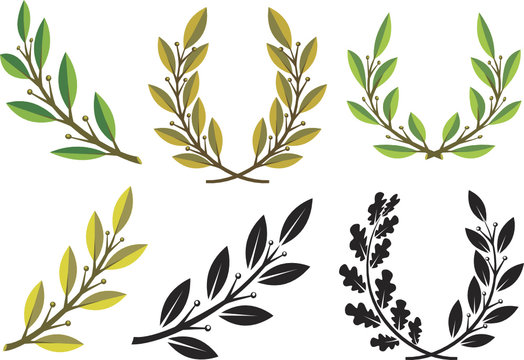 Set of laurel wreaths and branches