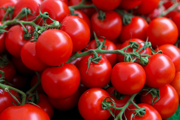 Fresh truss tomatoes