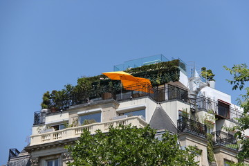 Sticker - Terrasse jardin sur le toit d'un immeuble à Paris