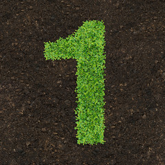 Number green of the grass on soil manure