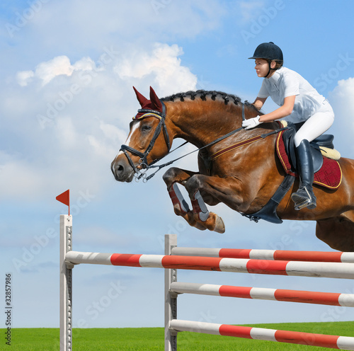 Cuadros en Lienzo Equestrian jumper - horsewoman and bay mare