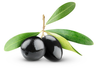Poster - Isolated olives. Two black olives on branch with leaves isolated on white background