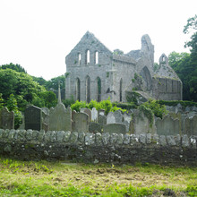 Ruins Of Grey Abbey, Northern Ireland