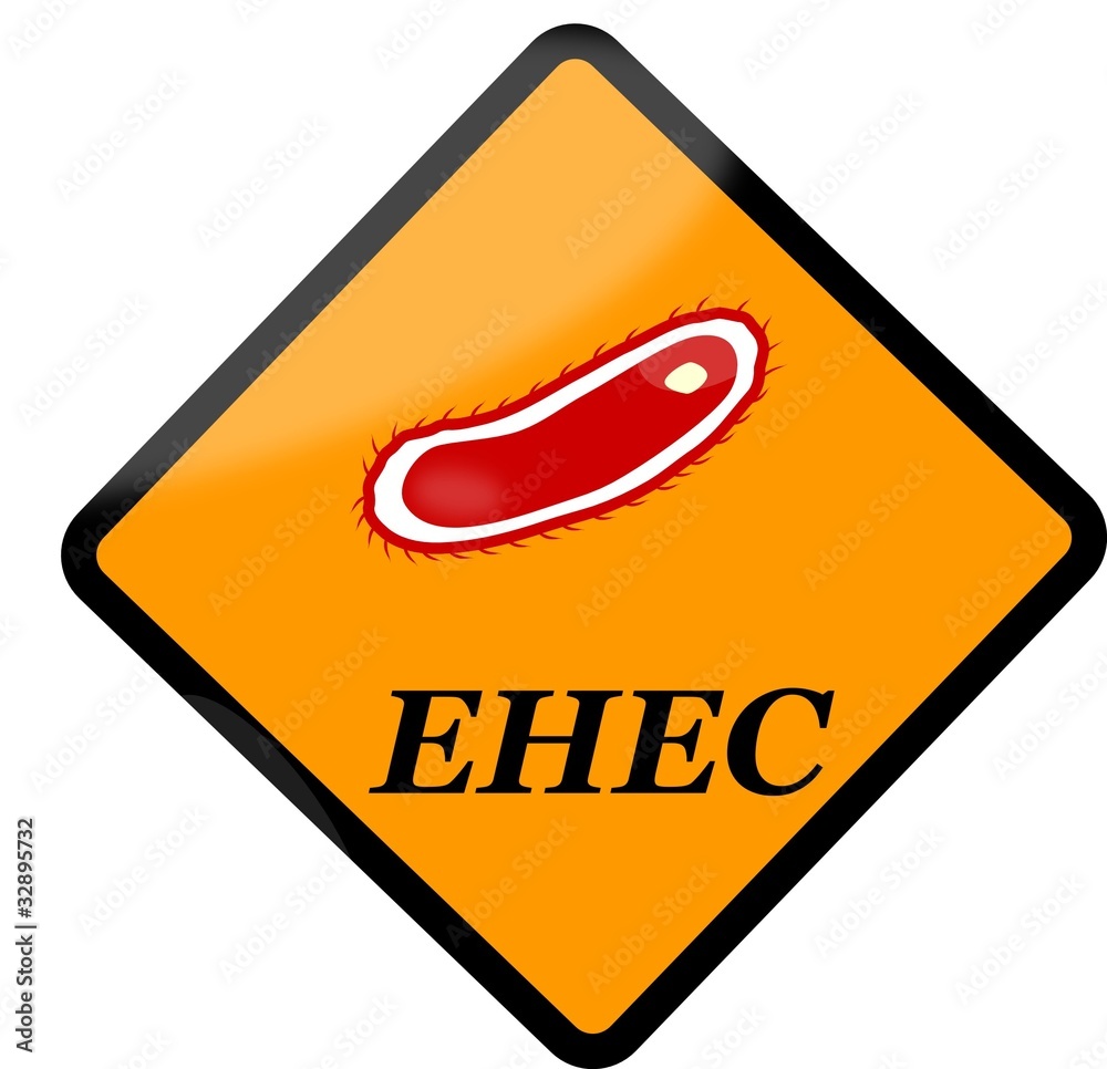 Escherichia coli - EHEC - obrazy, fototapety, plakaty 
