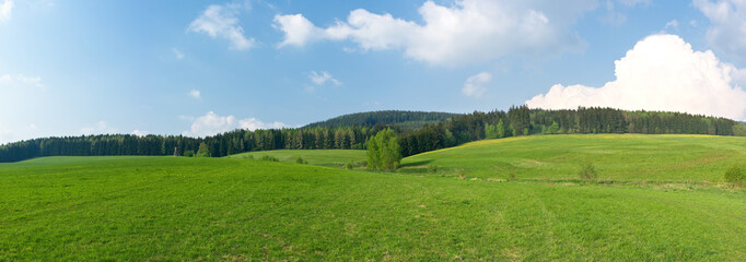 Wall Mural - Panorama of green madows