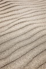 Poster - Sand ripples background