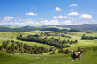 Bull and lambs grazing on the picturesque landscape background