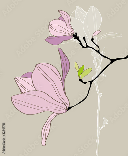 Naklejka nad blat kuchenny Card with stylized magnolia