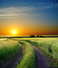 Wall Mural - sunset over rural road