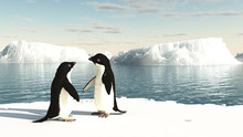 Adelie Penguins On An Iceberg