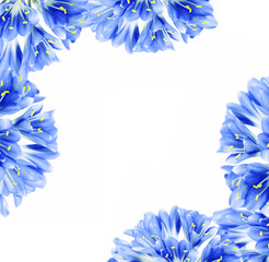 Sticker - Blue flower border